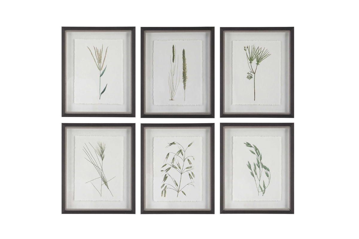 Forest Finds Wall Art, Set of 6 | Wall Art | Accents