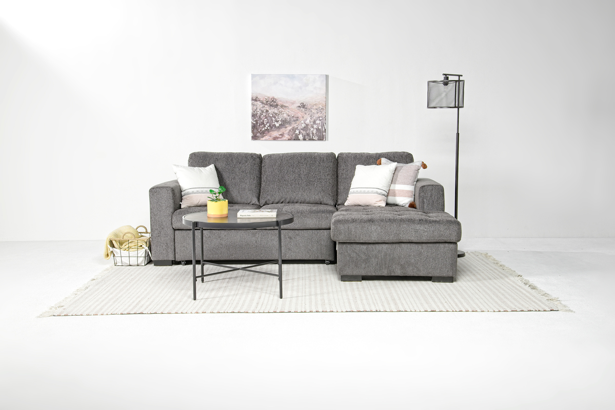 Claire full sleeper sectional 2025 with storage chaise